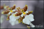 nEO_IMG_LEE_7650
