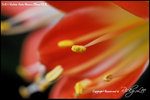 nEO_IMG_LEE_7655
