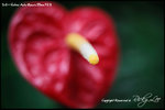 nEO_IMG_LEE_7658
