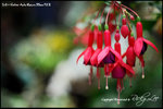 nEO_IMG_LEE_7666