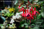 nEO_IMG_LEE_7667
