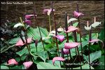 nEO_IMG_LEE_7668