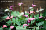 nEO_IMG_LEE_7670