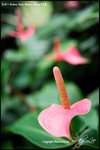 nEO_IMG_LEE_7671