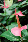 nEO_IMG_LEE_7673