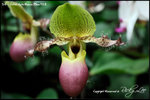 nEO_IMG_LEE_7674