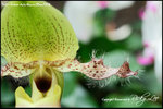 nEO_IMG_LEE_7676