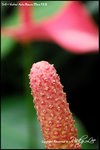 nEO_IMG_LEE_7679