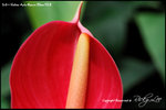nEO_IMG_LEE_7680