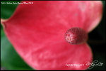 nEO_IMG_LEE_7681