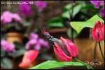 nEO_IMG_LEE_7684