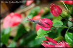 nEO_IMG_LEE_7685