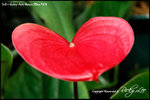 nEO_IMG_LEE_7689