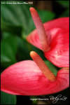 nEO_IMG_LEE_7690