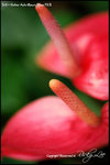 nEO_IMG_LEE_7691