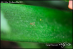 nEO_IMG_LEE_7693