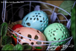 nEO_IMG_LEE_7696