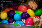nEO_IMG_LEE_7705