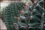 nEO_IMG_LEE_7716