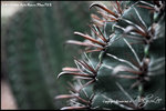 nEO_IMG_LEE_7717