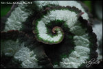 nEO_IMG_LEE_7718