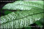 nEO_IMG_LEE_7722