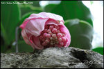 nEO_IMG_LEE_7728