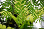 nEO_IMG_LEE_7731