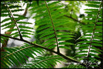 nEO_IMG_LEE_7733