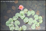nEO_IMG_LEE_7740