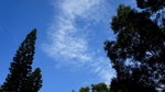 DSC00100