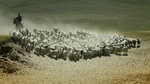 IMG_1697B