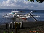 DSCN031002_07442800003