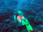 DSCN031003_10133300033