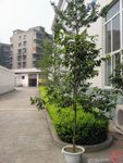DSCN050909_111648