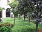 DSCN050909_131852