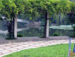 DSCN050909_131950