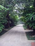 DSCN050910_092931