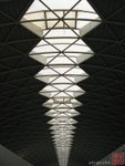 DSCN050910_125333