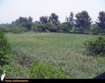 HIKE040509_120354