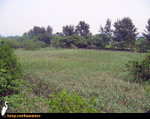 HIKE040509_120401