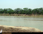HIKE040509_123434
