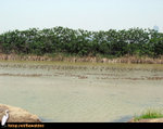 HIKE040509_123500