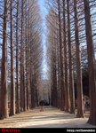 DSCN060122_103642