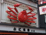 DSCF100217_135007