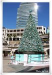 IMG_4254