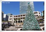 IMG_4255
