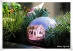 IMG_4275