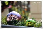 IMG_4280