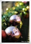 IMG_4296